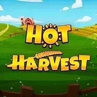 Hot HarvestPenguinking